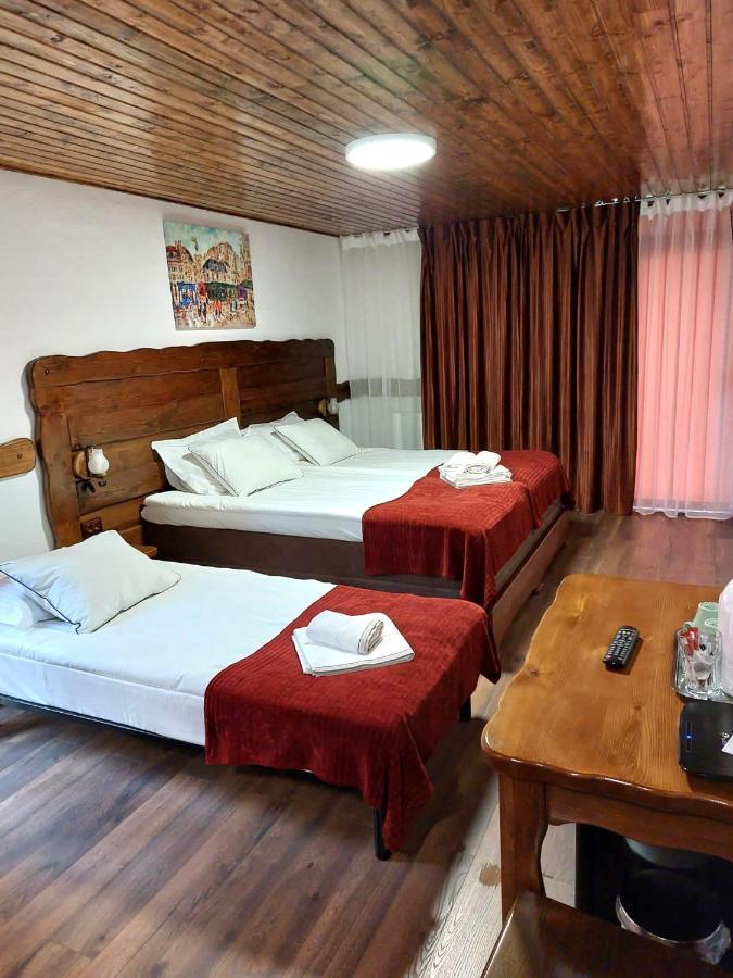 Hotel Vila Swe Sar Curtea de Argeş Exterior foto